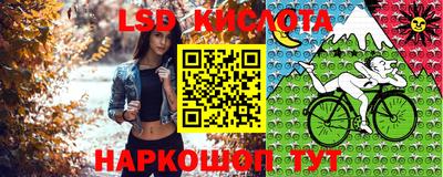кокс Гусь-Хрустальный